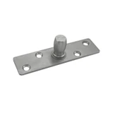 CTP-003, Top Pivot — CTP-003 — Brushed Stainless Steel