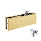 CPH30 Overpanel Patch with CPF30-Pvtins — CPH30 — Brushed Gold