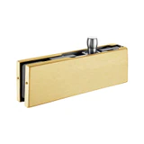 CPH30 Overpanel Patch with CPF30-Pvtins — CPH30 — Brushed Gold