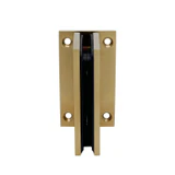 CGEN037, WALL Mount Hinge-Full Back Plate — CGEN037