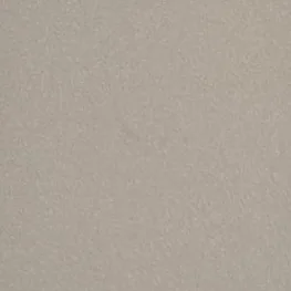 Camel - WF115S - Sand texture